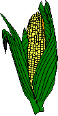 Corn Graphic for Diets to help Learning Disabilities covering preservatives, food allergy, Feingold, prescription drug and ritalin alternatives.